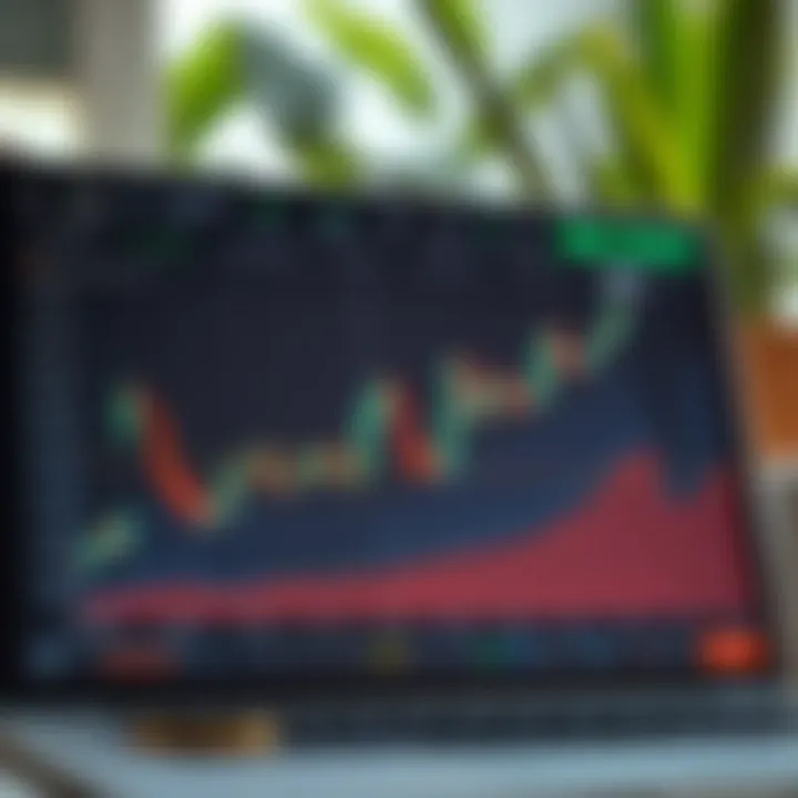Graph showing investment growth in digital trading platform