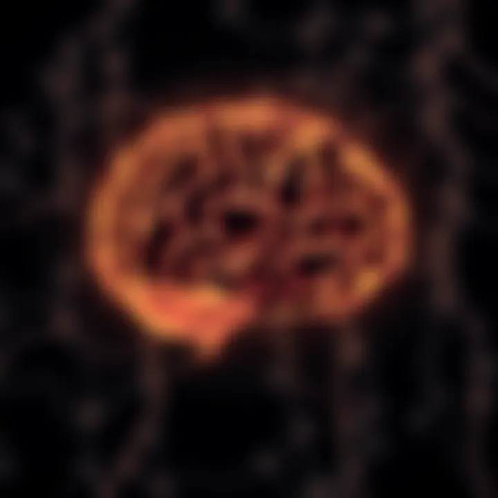 Neural pathways illustrating brain activity during decision making in financial investments