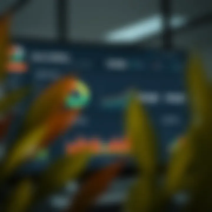 Dashboard overview showcasing affiliate earnings and statistics on Quotex platform