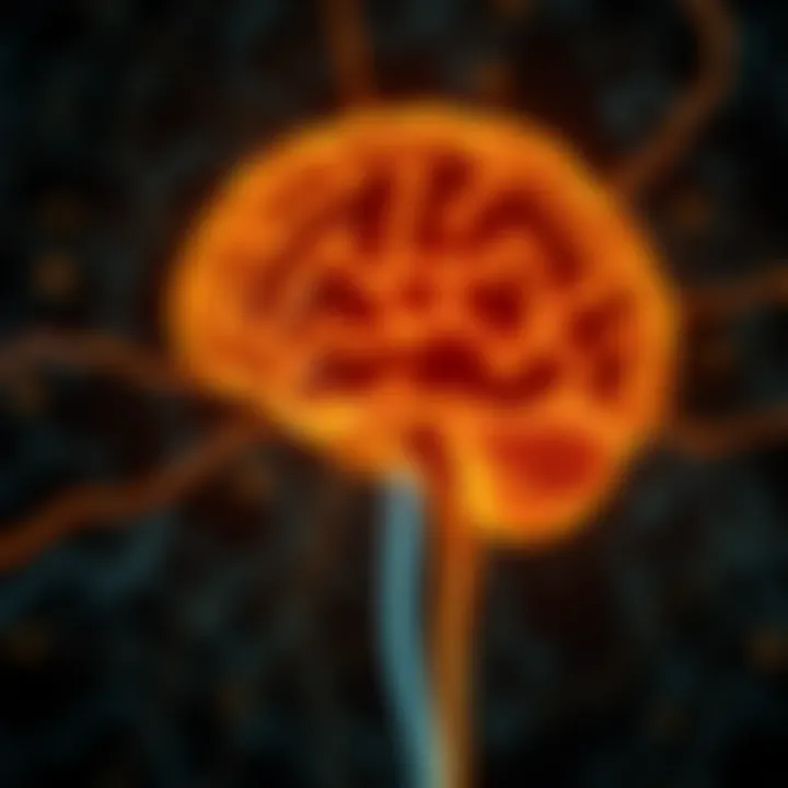 Neural pathways symbolizing financial decision making and mindset transformation